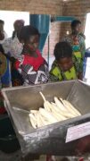 TIDEF - cassava processing