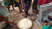 TIDEF - cassava processing - flour