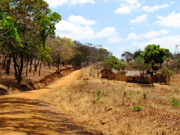 Malawian landscape