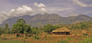 Malawian landscape