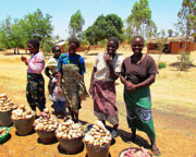 Market in Malawi