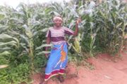 STRADE - Chambo community farmer in her field of maize